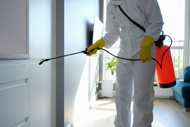 Best Residential Mold Removal  in Sleepy Eye, MN