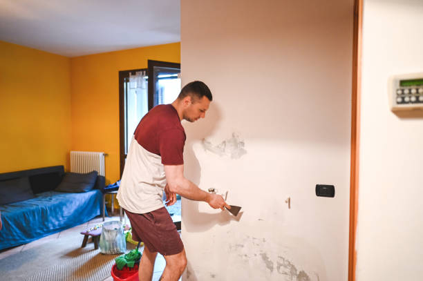 Best Mold Removal Specialists  in Sleepy Eye, MN